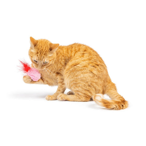 Huxley & Kent Love Bugs 2Pk Cat Toy - Poudre Pet & Feed Supply 5